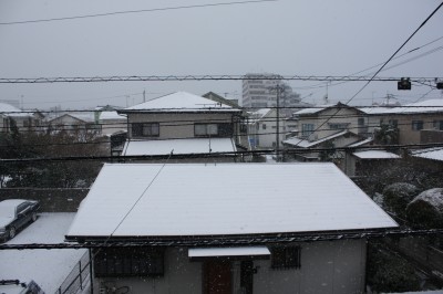 外は銀世界